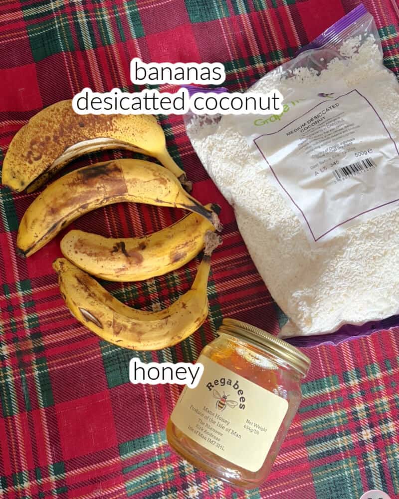 Ingredients displayed for making coconut cookies.