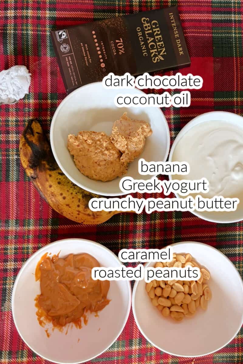Ingredients displayed for making frozen yogurt bars.