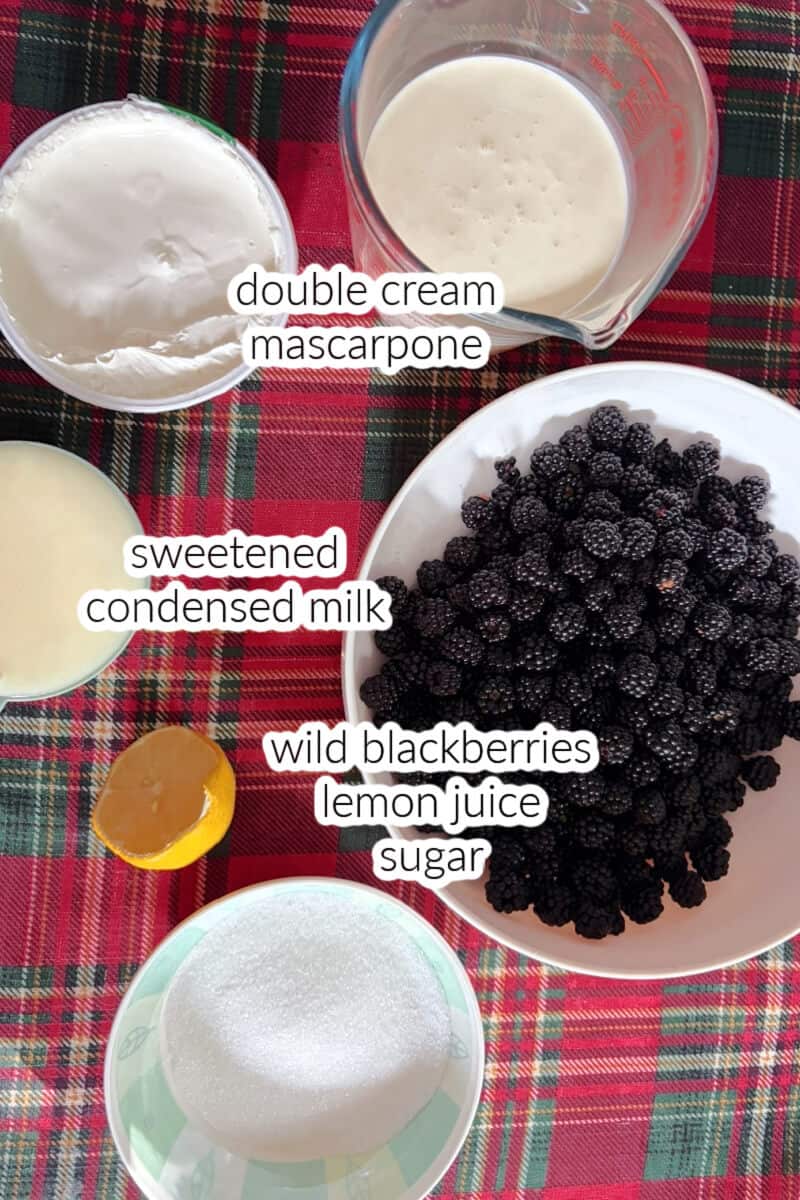 Ingredients displayed for making ice cream with wild blackberries.