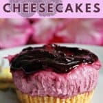 A mini blackberry cheesecake on a white plate.