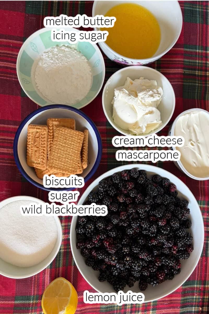 Ingredients displayed to make mini cheesecakes with wild blackberries.