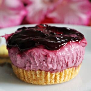 A small blackberry cheesecake on a white plate.