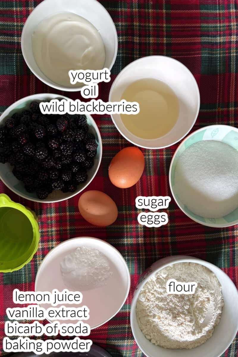 Ingredients displayed for making blackberry muffins.