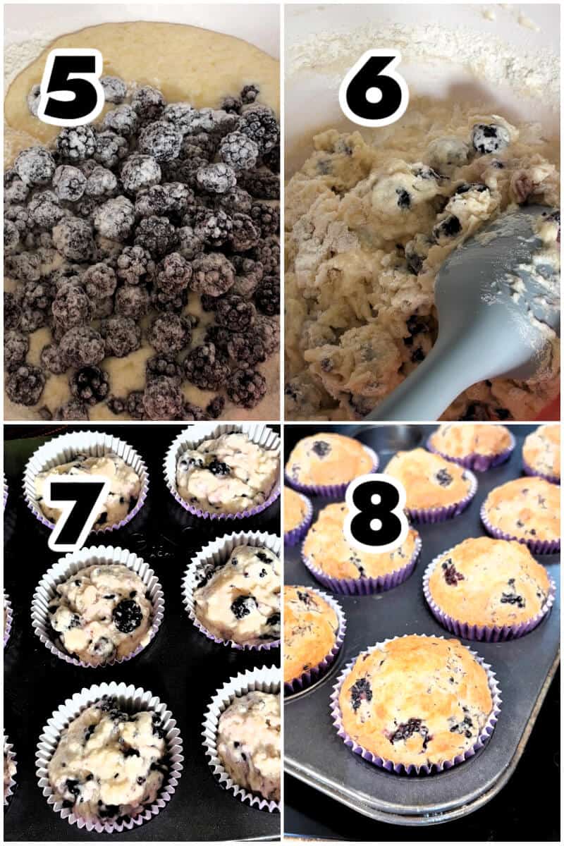Collage of 4 photos to show how to make blackberry muffins.