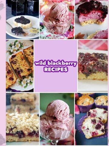 Collage of wild blackberry recipes.