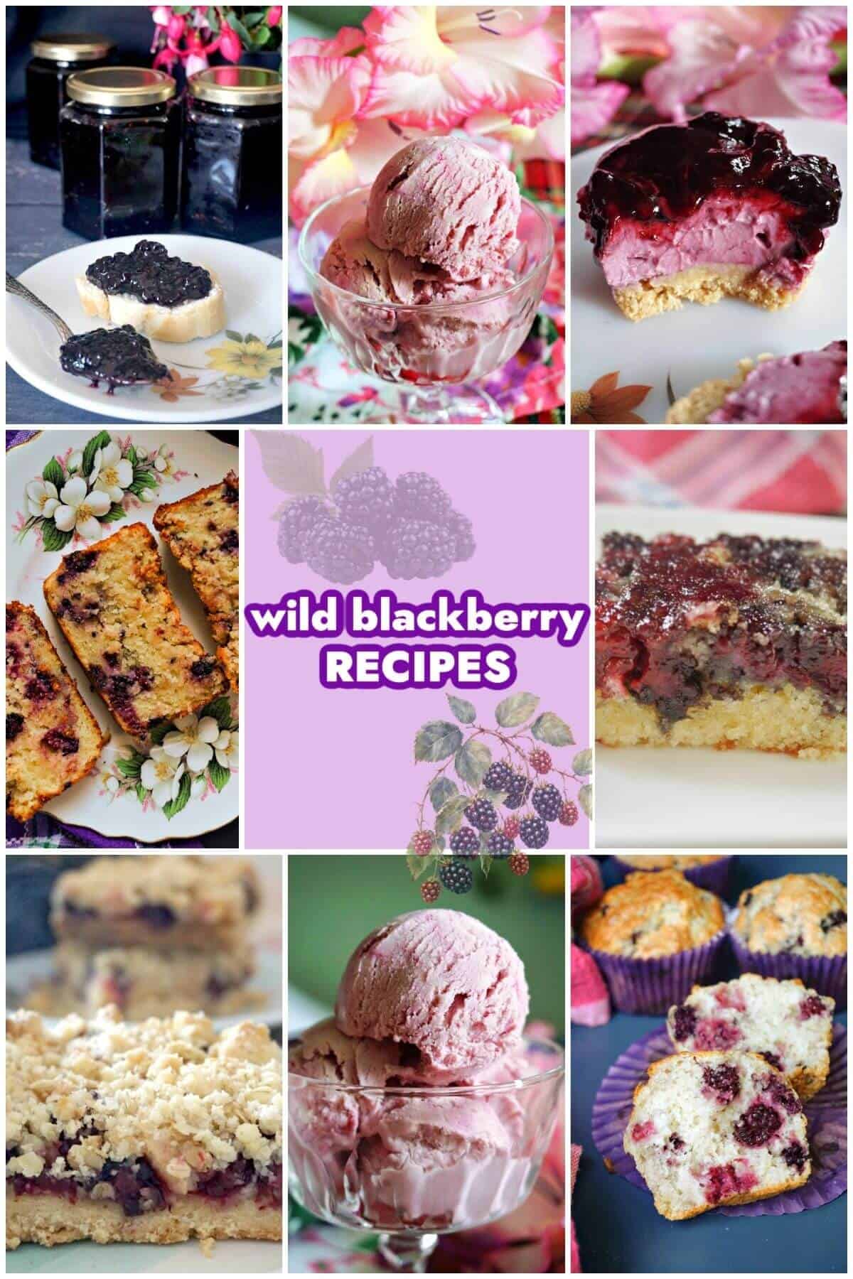 Collage of wild blackberry recipes.