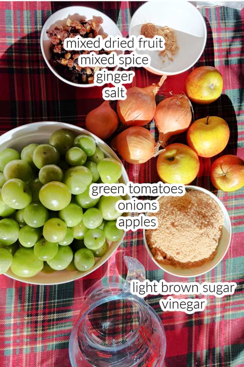 Ingredients displayed on the table to make chutney.